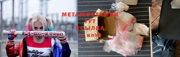 индика Горнозаводск