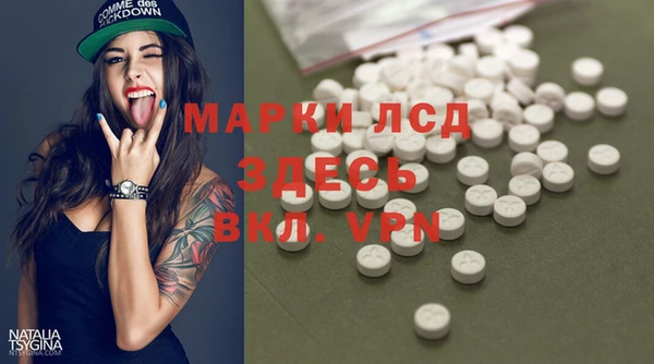 индика Горнозаводск