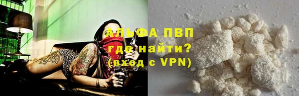 индика Горнозаводск