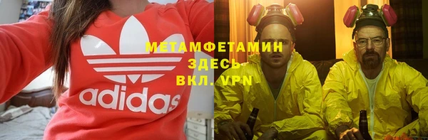 индика Горнозаводск