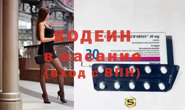 индика Горнозаводск