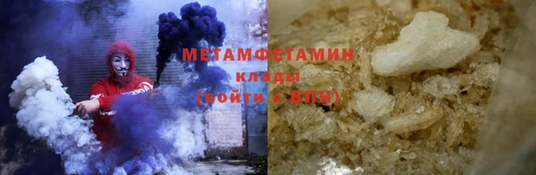 индика Горнозаводск