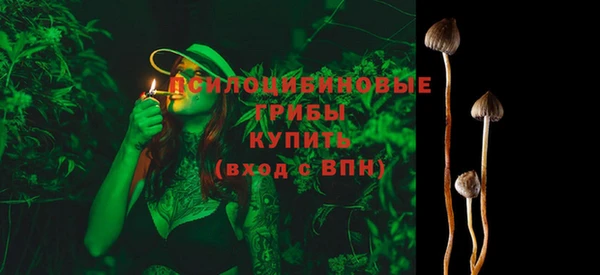ГАЛЛЮЦИНОГЕННЫЕ ГРИБЫ Горняк