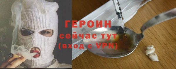 индика Горнозаводск