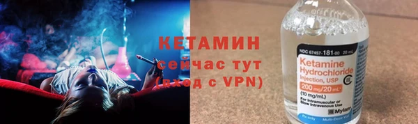 индика Горнозаводск