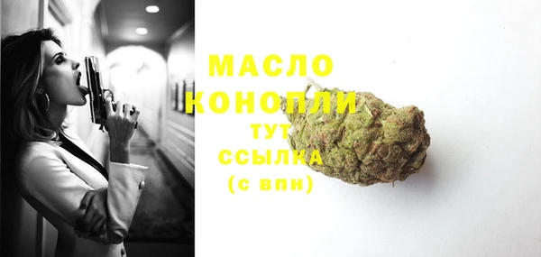 индика Горнозаводск