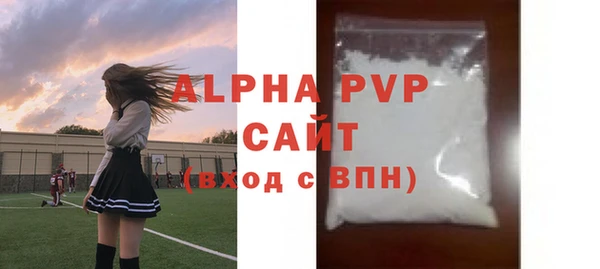 индика Горнозаводск