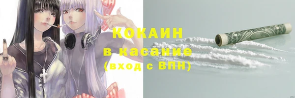 ГАЛЛЮЦИНОГЕННЫЕ ГРИБЫ Горняк