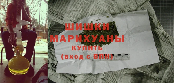 mdpv Снежинск