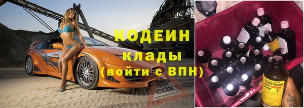 индика Горнозаводск