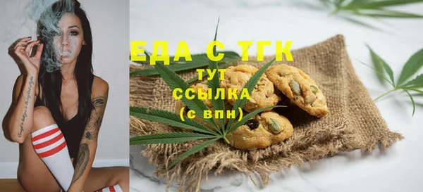 индика Горнозаводск