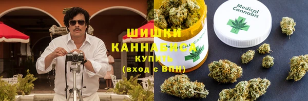 ГАЛЛЮЦИНОГЕННЫЕ ГРИБЫ Горняк