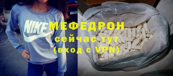 индика Горнозаводск
