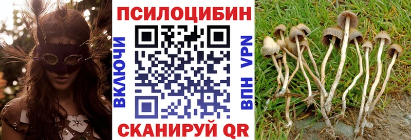 где купить наркотик  Москва  это наркотические препараты  Псилоцибиновые грибы прущие грибы 